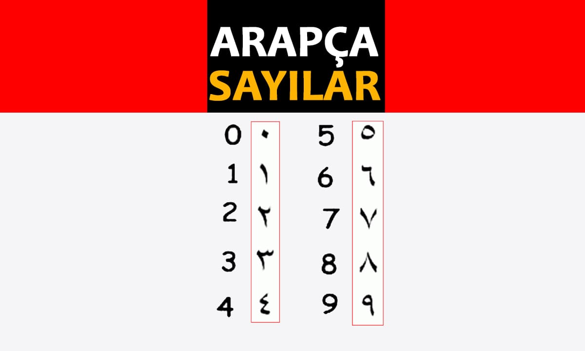 Arapça Sayılar
