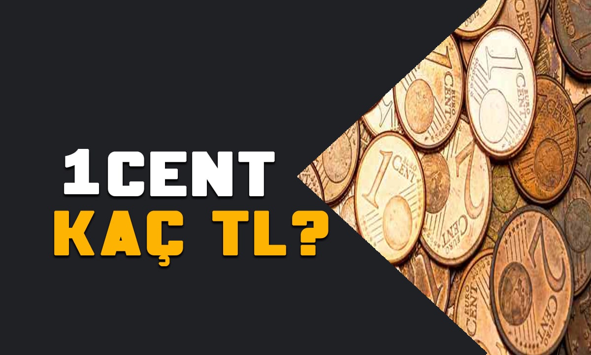 1 Cent kaç TL