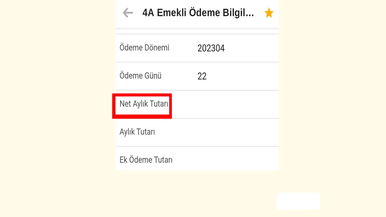 4a Emekli Net Aylık Tutarı Ne Demek