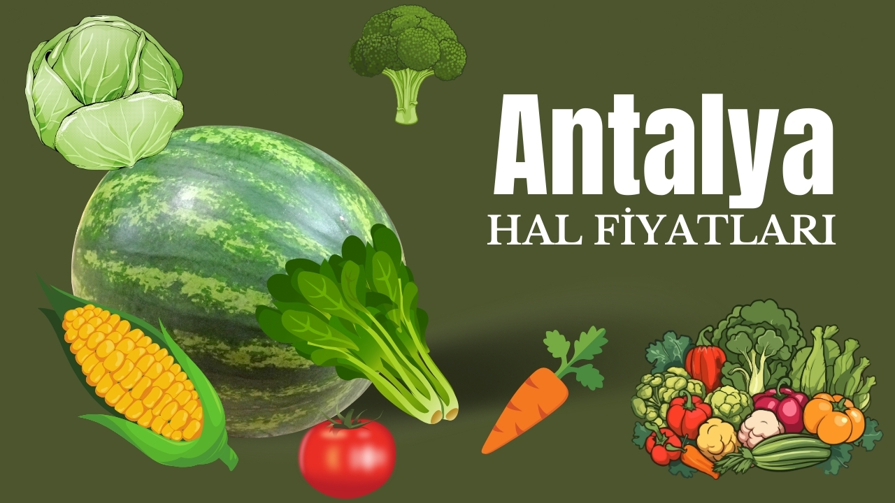 Antalya Hal Fiyatları