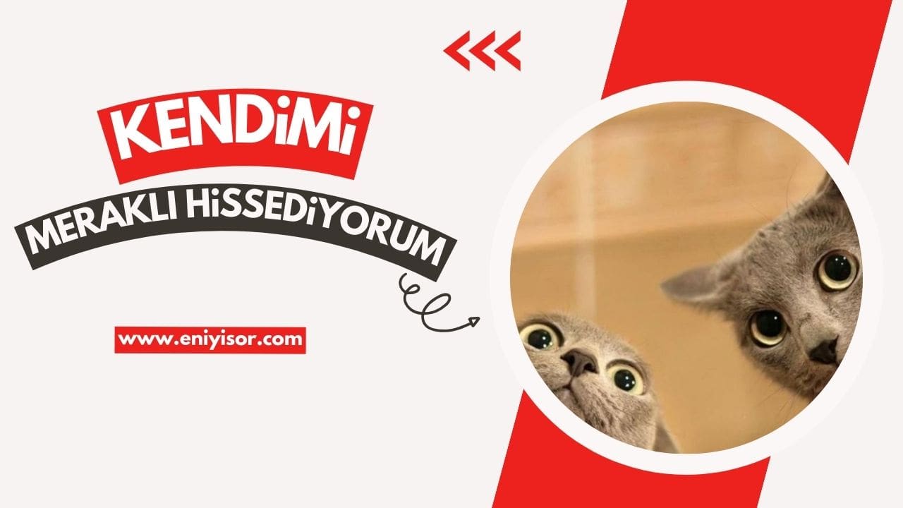 Kendimi meraklı hissediyorum