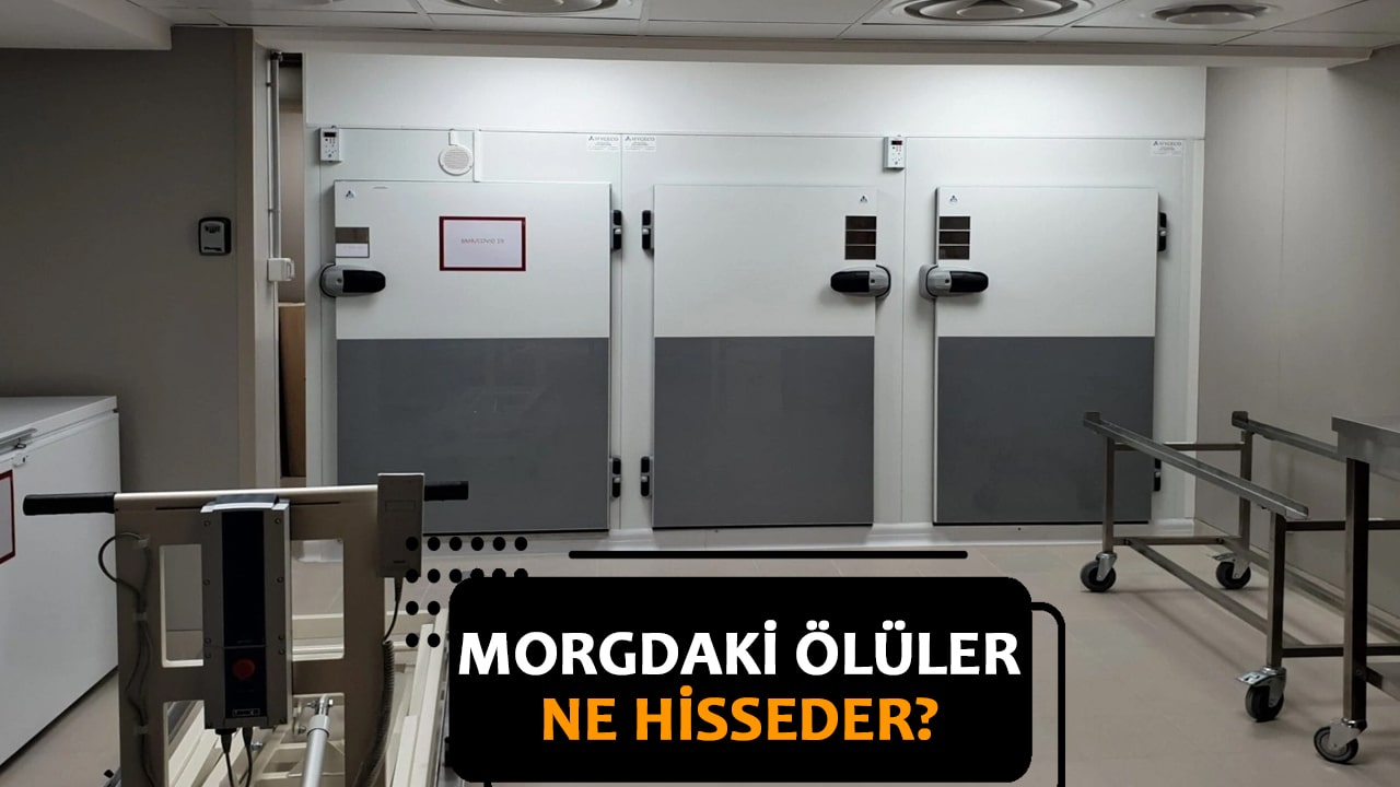 Morgdaki Ölüler Ne Hisseder