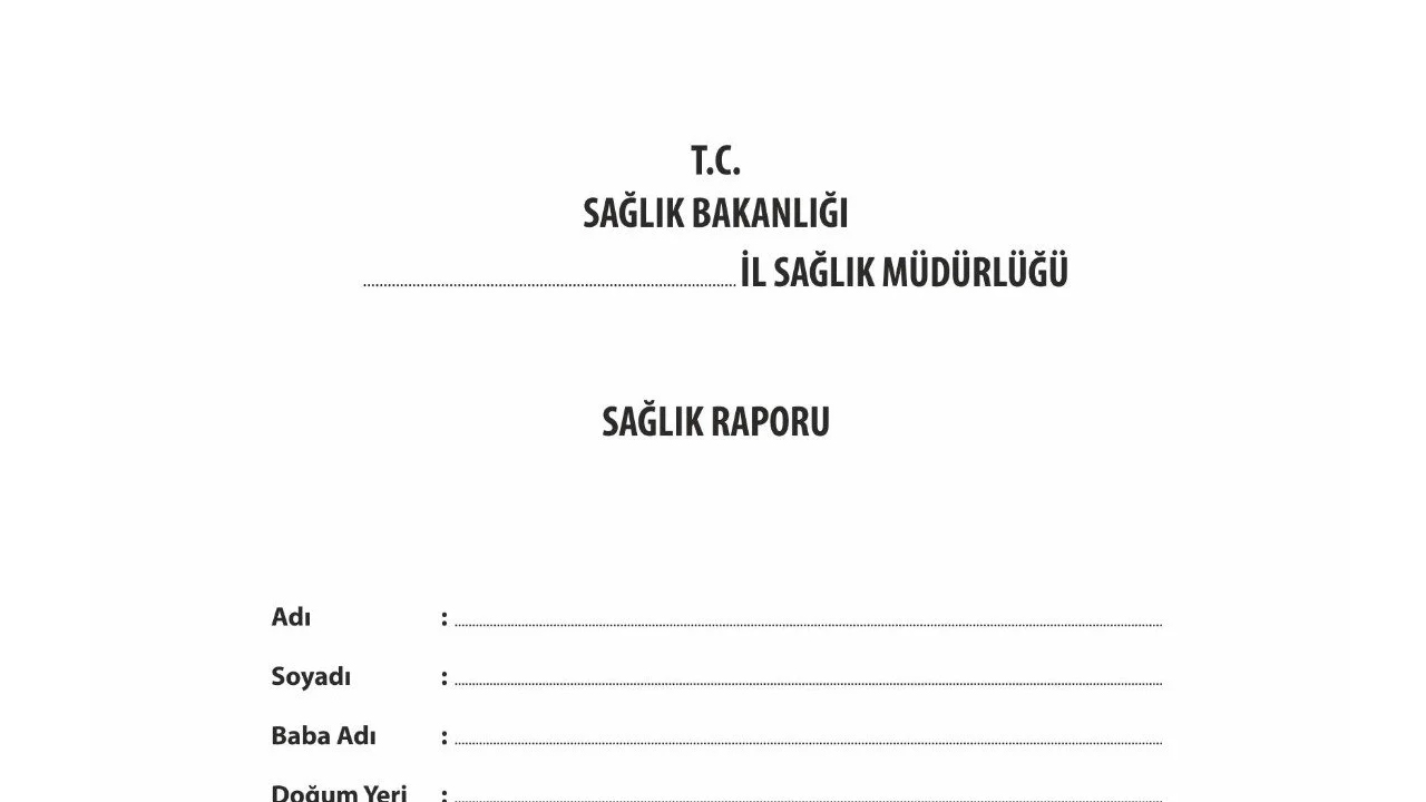 Raporda ayakta bitiş tarihi ne demek