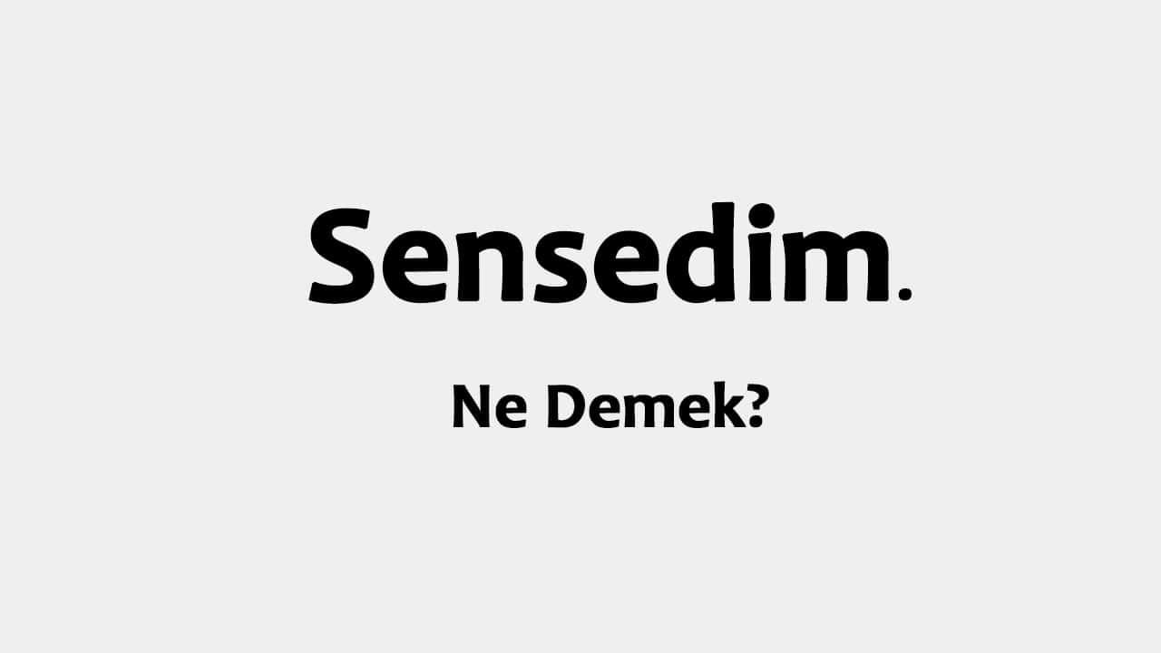 Sensedim Ne Demek