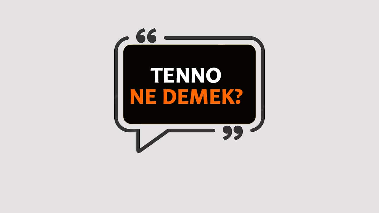 Tenno Ne Demek