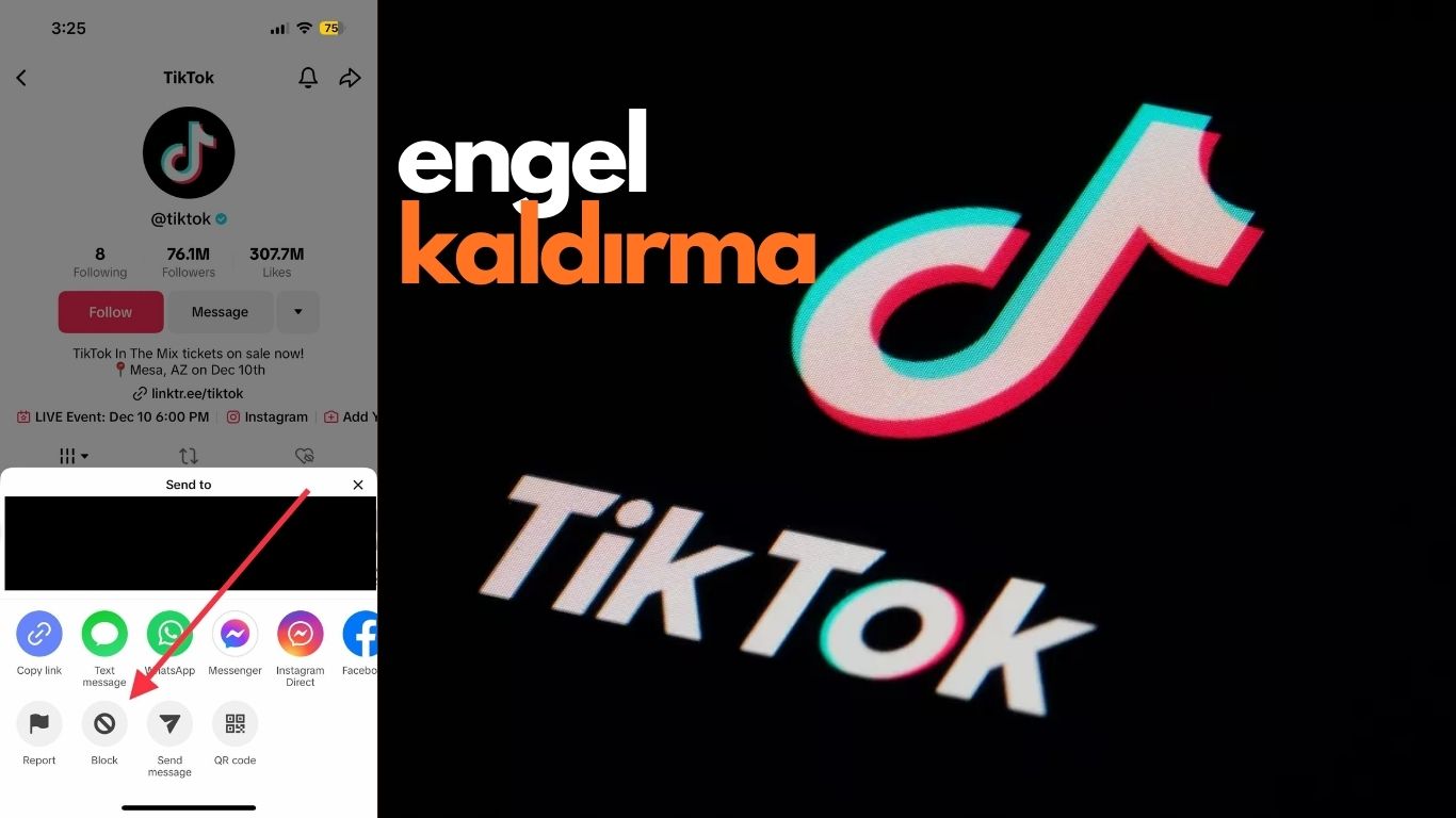 TikTok Engel Kaldırma