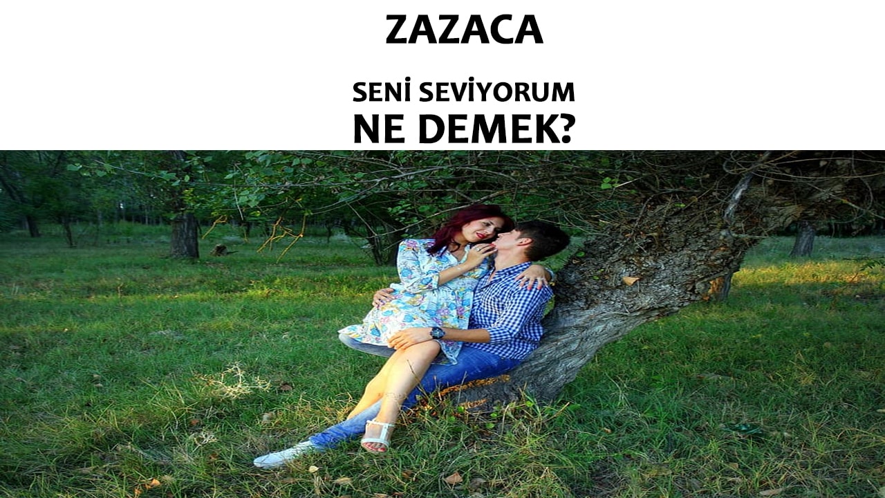Zazaca Seni Seviyorum Ne Demek