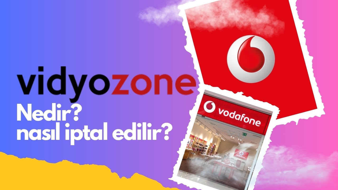 vidyozone nedir